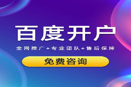 百度优化推广案例：快速提升网站排名